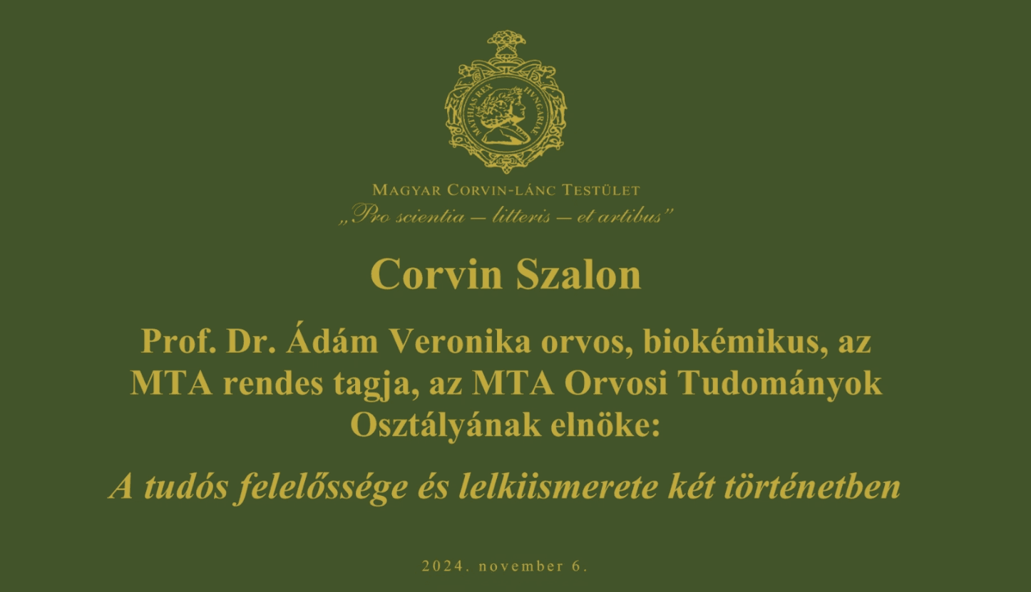 25. 2024.11.06. Corvin Szalon