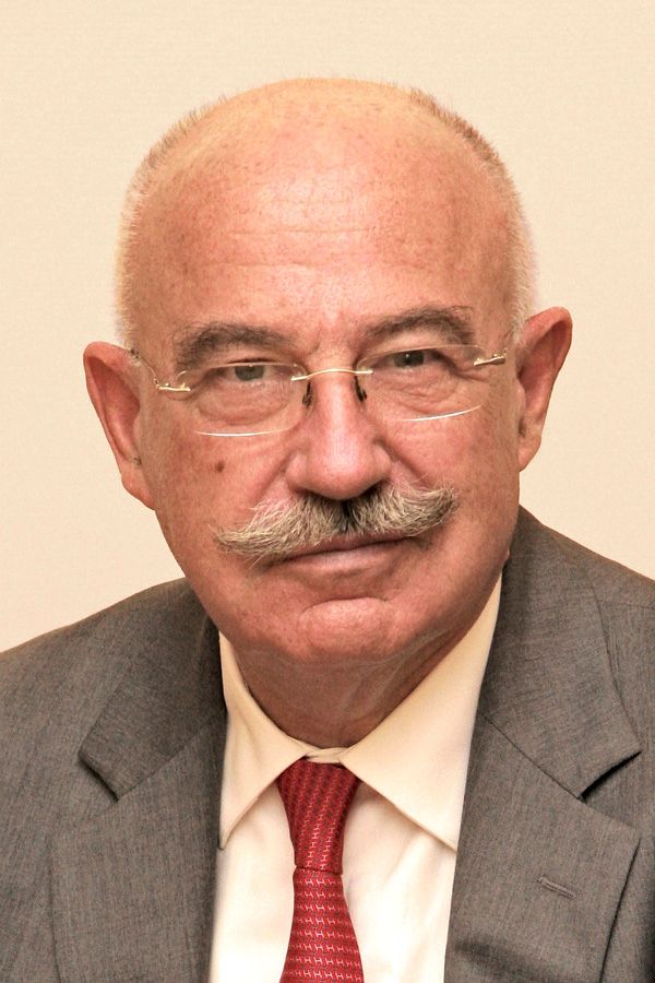 Prof. Dr. Martonyi János
